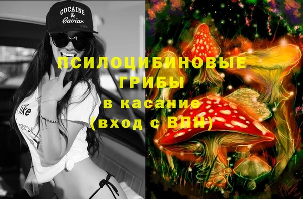 мдпв Абаза